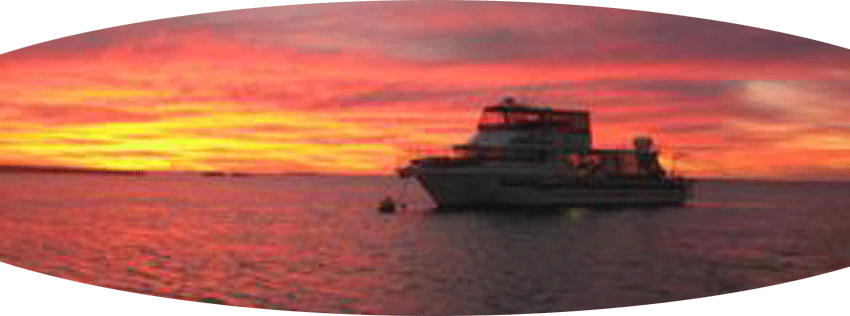 Abrolhos Islands Diving Charters